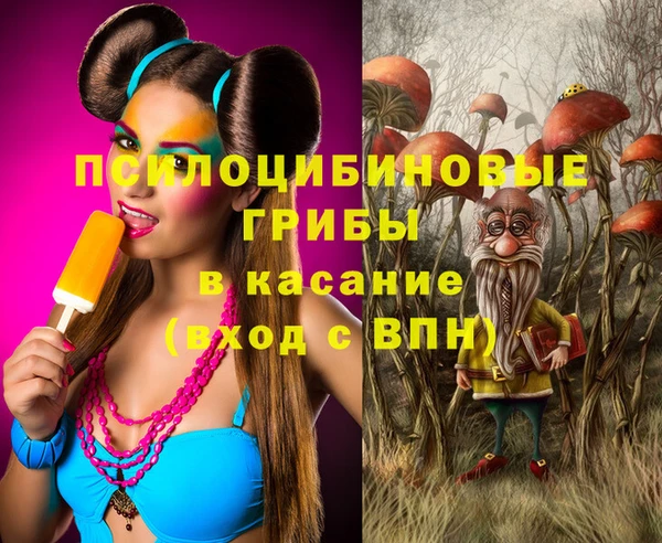 ПСИЛОЦИБИНОВЫЕ ГРИБЫ Семилуки